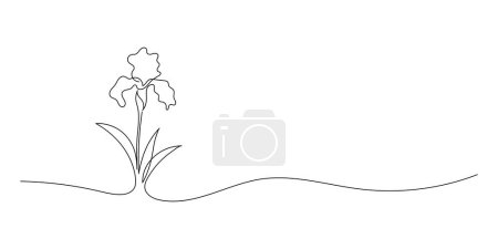 Illustration for Vector isolated daffodils flowers bloom contour line colorless black and white drawing on white background. The minimalist line of the nerd. Vector graphics of romance - Royalty Free Image
