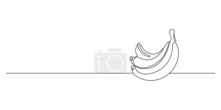 Illustration for Banana fruit in continuous line art style on white background. Minimalist black line doodle. Vector illustration. Template for your design. - Royalty Free Image