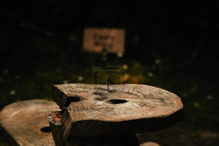 Foto de Wooden stools in a forest, log stumps carved in a woodland foot trail in autumn, surrounded by fall leaves - Imagen libre de derechos