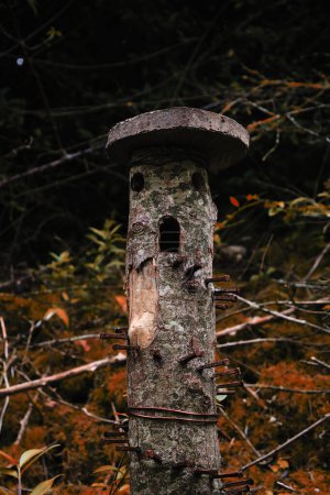 Foto de Wooden log with a carved face and nails in it - Imagen libre de derechos