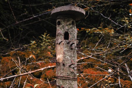 Foto de Wooden log with a carved face and nails in it - Imagen libre de derechos