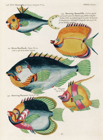 Foto de Ilustración de peces coloridos vintage. 1750 Ilustración antigua de Amsterdam de peces coloridos - Imagen libre de derechos