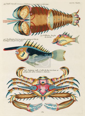 Téléchargez les photos : Illustration Poissons et crabes colorés vintage. 1750 Illustration antique d'Amsterdam de poissons et crabes colorés - en image libre de droit