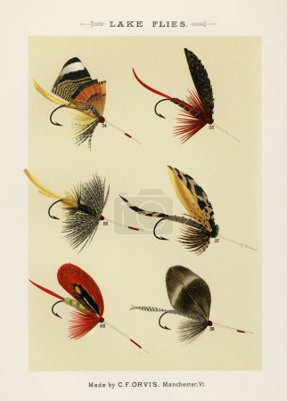Foto de Vintage Ilustración de anzuelos de pesca con mosca: Ganchos de púas surtidos con diferentes tamaños y ojales para patrones de mosca artificiales en la pesca con mosca. Ca. 1890 - Imagen libre de derechos