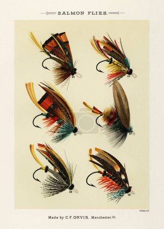 Foto de Vintage Ilustración de anzuelos de pesca con mosca: Ganchos de púas surtidos con diferentes tamaños y ojales para patrones de mosca artificiales en la pesca con mosca. Ca. 1890 - Imagen libre de derechos