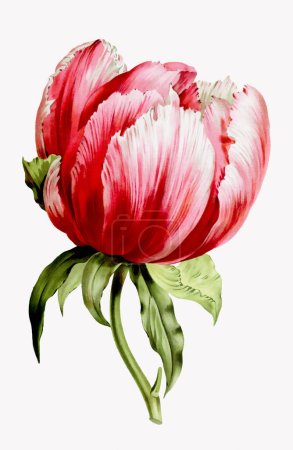 Botanisches Kunstwerk im Vintage-Stil in voller Blüte.