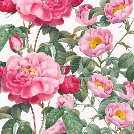 Téléchargez les photos : Fleurs roses : Conception florale présentée dans un format carré avec des vibrations d'aquarelle numérique sur un fond blanc lisse. Idéal pour insuffler une touche créative à vos projets. - en image libre de droit