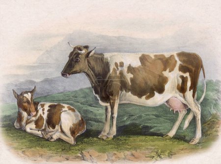 Téléchargez les photos : Illustration numérique de vache de style vintage sur fond beige texturé - en image libre de droit