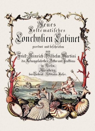 Vintage Seashell book frontispice. Deutsche Zoologische Kunst aus dem 18. Jahrhundert.