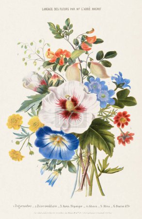 Ramo de flores. Arte Botánico Vintage. Alrededor de 1850
