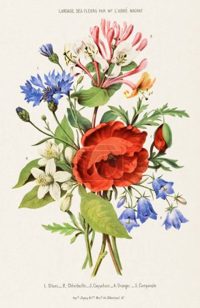 Ramo de flores. Arte Botánico Vintage. Alrededor de 1850