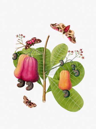 Vibrant botanical illustration featuring flowers, fruits, and butterflies. The digital watercolor style adds a vintage touch, set against a textured white background.