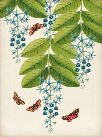 Vibrante ilustración botánica con flores, frutas y mariposas. El estilo acuarela digital añade un toque vintage, situado sobre un fondo beige rústico.