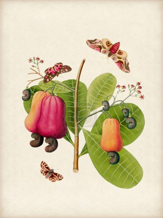 Illustration botanique vibrante avec des fleurs, des fruits et des papillons. Le style aquarelle numérique ajoute une touche vintage, sur fond beige rustique.