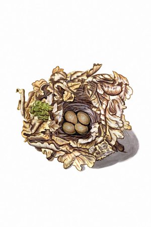 Photo for Beautiful Nest and Eggs illustration. Vintage-style Digital Painting on a White Background. - Royalty Free Image