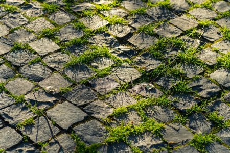 Téléchargez les photos : Belle texture de pavés herbeux. fond de route en pierre - en image libre de droit