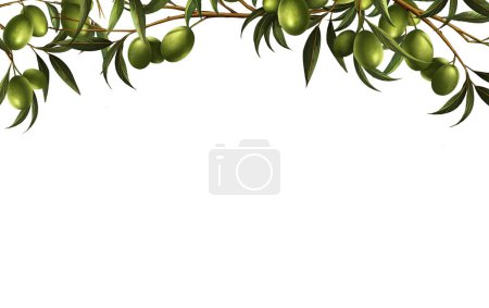 Photo for The olive, known by the botanical, For your product that is produced from olive or natural . Design are lay out template on natural background . - Royalty Free Image