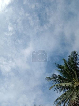 Photo for Blue sky with white clouds, beautiful tropical palm trees and sun rays. - Royalty Free Image