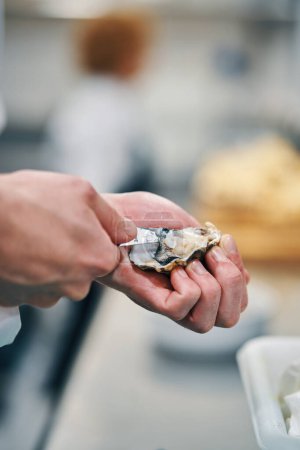 Téléchargez les photos : Chef nettoyage huître, cuisine professionnelle - en image libre de droit
