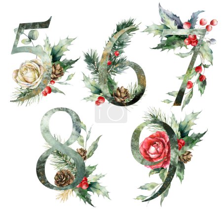 Photo for Watercolor frolal numbers set of 5, 6, 7, 8, 9 with rose flowers. Hand painted alphabet symbols of plants isolated on white background. Holiday Illustration for design, print, fabric or background - Royalty Free Image