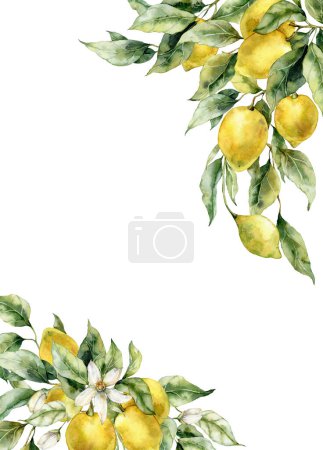 Watercolor tropical border of ripe lemons, flowers and leaves. Hand painted branch of fresh yellow fruits isolated on white background. Tasty food illustration for design, print, fabric or background
