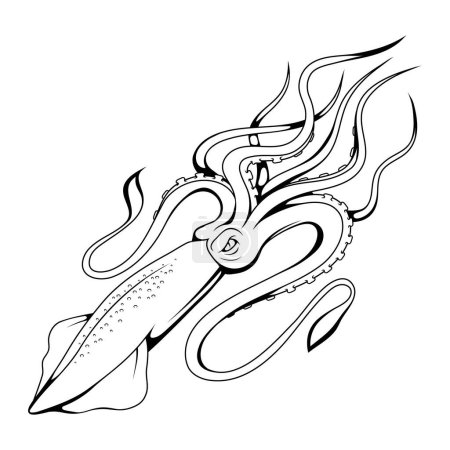Illustration for Squid. Vector illustration of a sketch sea animal. Cuttlefish tasty seafood of restaurant. - Royalty Free Image