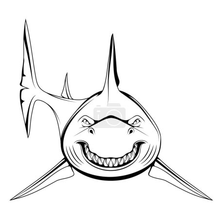 Illustration for White shark. Vector illustration of a sketch largest predatory fish. Angry scary smile and teeth. - Royalty Free Image