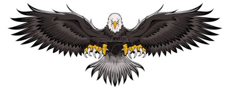 Illustration for Eagle. Bald Eagle. National symbol of the USA. Stock Vector Image - Royalty Free Image