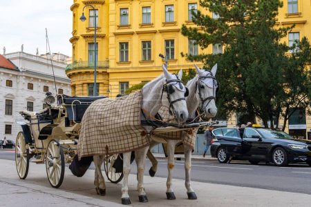 Foto de Atracción turística de carruajes tirados por caballos en Viena, Austria. - Imagen libre de derechos
