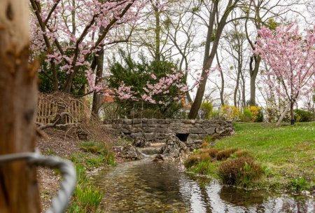 Foto de Fluye el arroyo en el parque en primavera. - Imagen libre de derechos