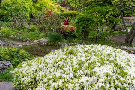 Foto de Hermoso jardín botánico de estilo japonés durante la primavera. Setagaya jardín japonés. Fondo de paisaje y fondo de pantalla. - Imagen libre de derechos