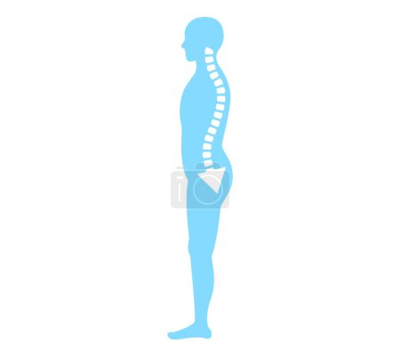 Pelvic forward and backward tilt: Correct posture and body illustration