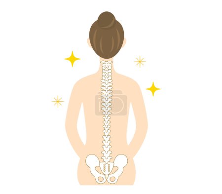 Illustration for Illustration of the back of a woman with a beautiful spin - Royalty Free Image