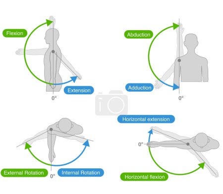 Movimiento de la articulación del hombro y dirección del movimiento