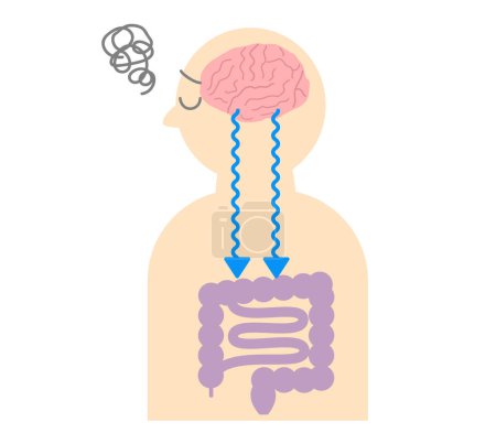 Cómo el estrés causa dolores de estómago y la relación entre el cerebro y el intestino. Ilustración de la conexión intestino-cerebro