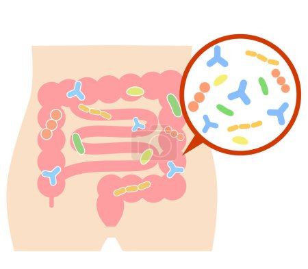 Illustration of intestinal bacteria living in the gut. stomach.