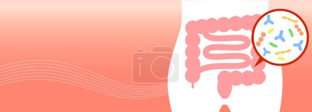 Illustration for Banner illustration of gut bacteria living in the colon and abdomen - Royalty Free Image