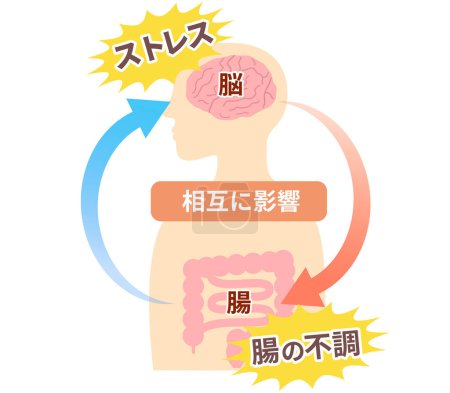 Illustration for How stress causes stomach aches, and the relationship between the brain and the gut. Illustration of the gut-brain connection - Royalty Free Image
