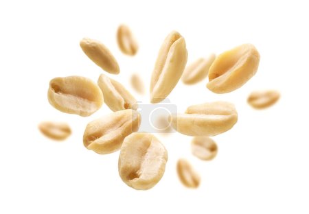 Peanuts levitate on a white background - Peanut Fly Up - Arachis Hypogaea