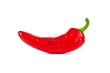 Photo for Big Red Chili Pepper Isolated - Hot Red Chilli Cooking Ingredient - Royalty Free Image