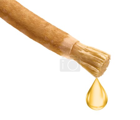 Photo for A drop of extract from Miswak, Natural toothbrush stick for teeth cleaner, Peelu tree stick, Salvadora persica. #miswak #siwak #drop - Royalty Free Image