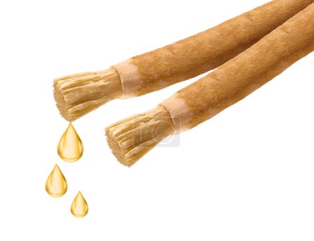 Photo for A drops of extract from Miswak, Natural toothbrush stick for teeth cleaner, Peelu tree stick, Salvadora persica. #miswak #siwak #drop - Royalty Free Image