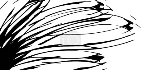 Grunge black texture. Vector background