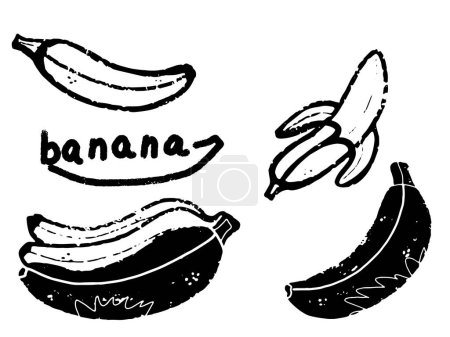 Photo for Banana stylized exotic fruit. Hand-drawn illustration in linocut style. Black vector element for design - Royalty Free Image