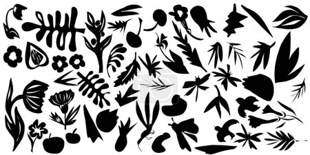 Photo for Organic shapes, plant silhouettes, elements. Vector set, elements collection - Royalty Free Image