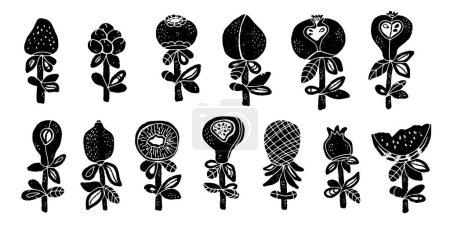 Photo for Stylized fruits in linocut style, organic shapes, minimalism, rustic style. Vector set of isolated elements for design - Royalty Free Image