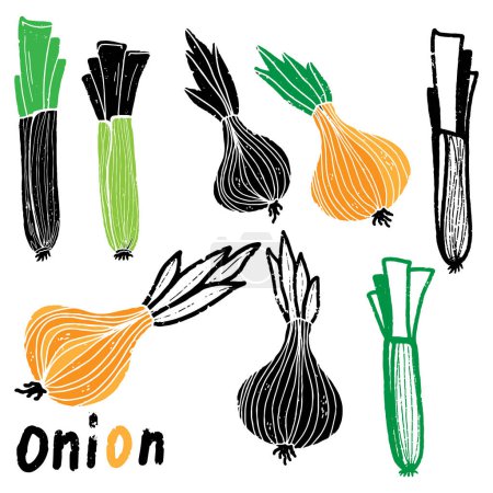 Illustration for Onion and shallot. Graphic texture elements. Vector set, collection. - Royalty Free Image