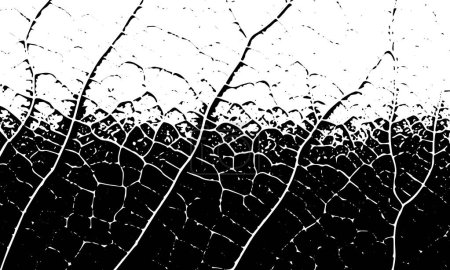 Photo for Black grunge vector texture of veins, cracks, stripes. Vector background - Royalty Free Image