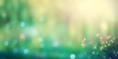 Sunny abstract green nature background, green blurred bokeh lights, green banner,  Poster #653629332