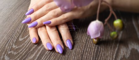 Téléchargez les photos : Elégant ongle tendance jeune femme mains manucure violette sur fond. - en image libre de droit